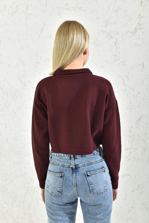 Bordo Polo Yaka Crop Bluz