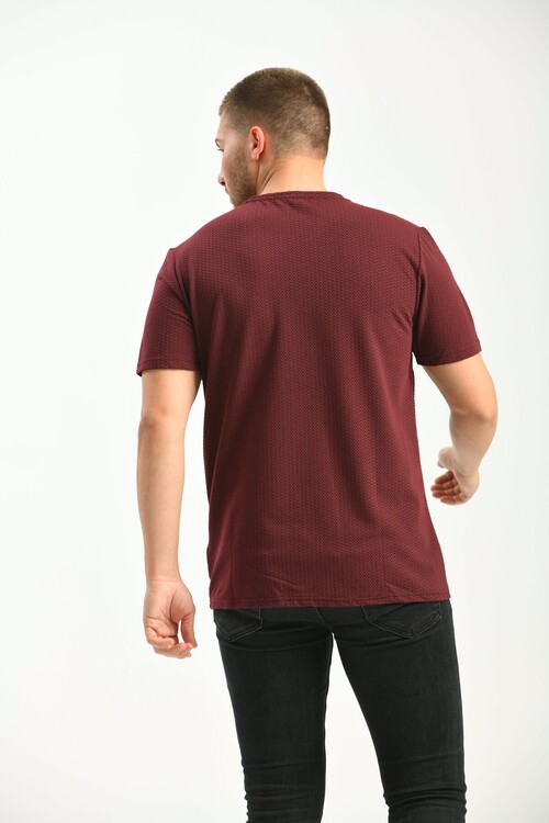 Claret Red Regular Fit Crew Neck Short Sleeved T-Shirt