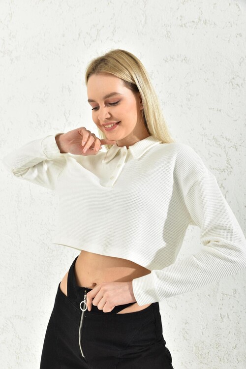 Ecru Polo Neck Crop Blouse