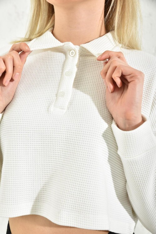 Ecru Polo Neck Crop Blouse