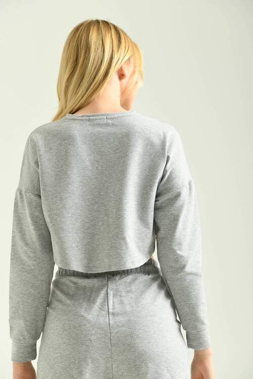 Gray Crew Neck Long Sleeve Crop Blouse