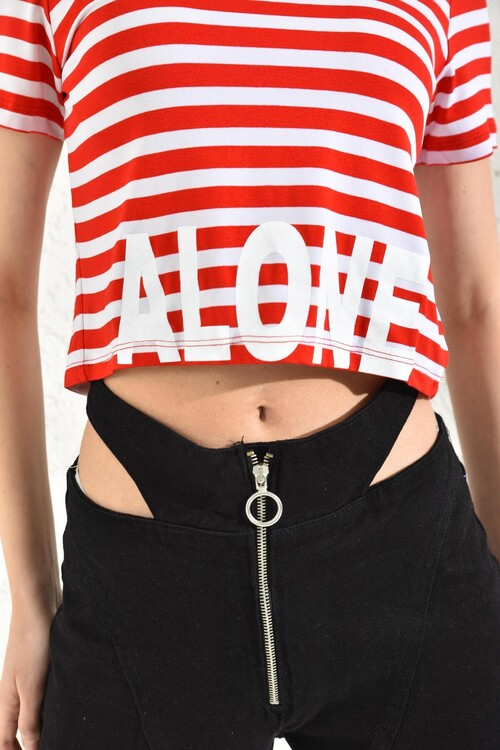 Red Crew Neck Alone Printed Crop Blouse