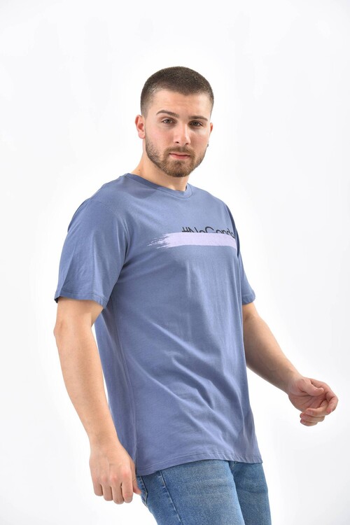 Navy Regular Fit Printed T-Shirt