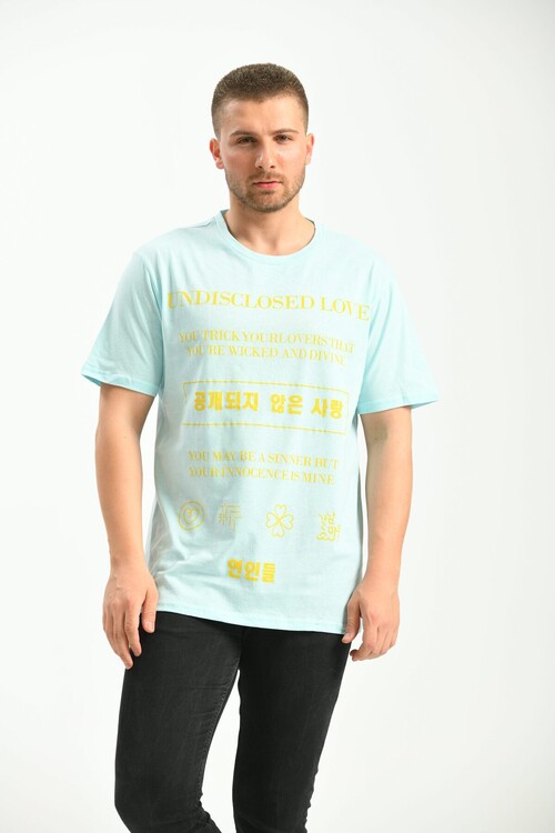 Blue Regular Fit Printed T-Shirt