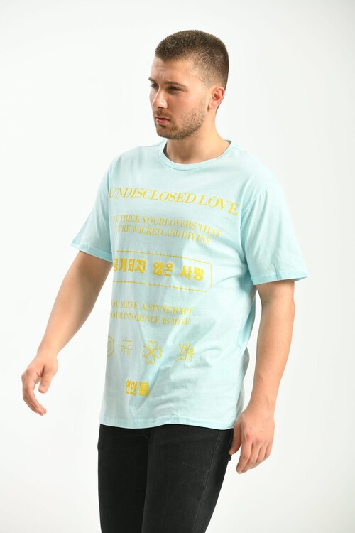 Blue Regular Fit Printed T-Shirt