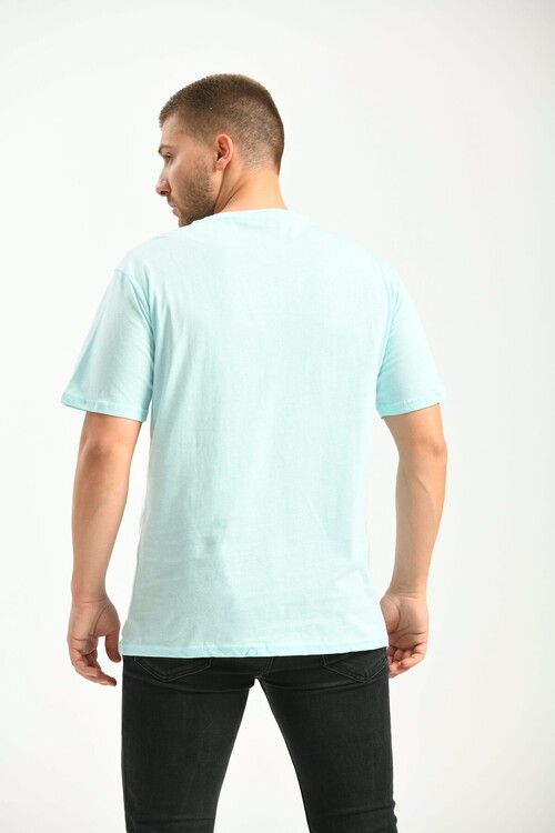 Blue Regular Fit Printed T-Shirt