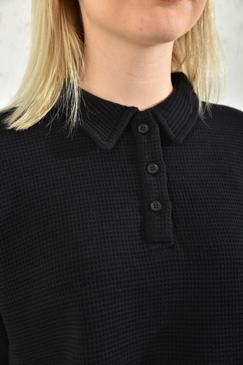 Black Polo Neck Crop Blouse