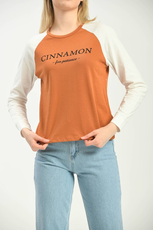 Cinnamon Color Block Basic Printed Long Sleeve Knitted T-Shirt