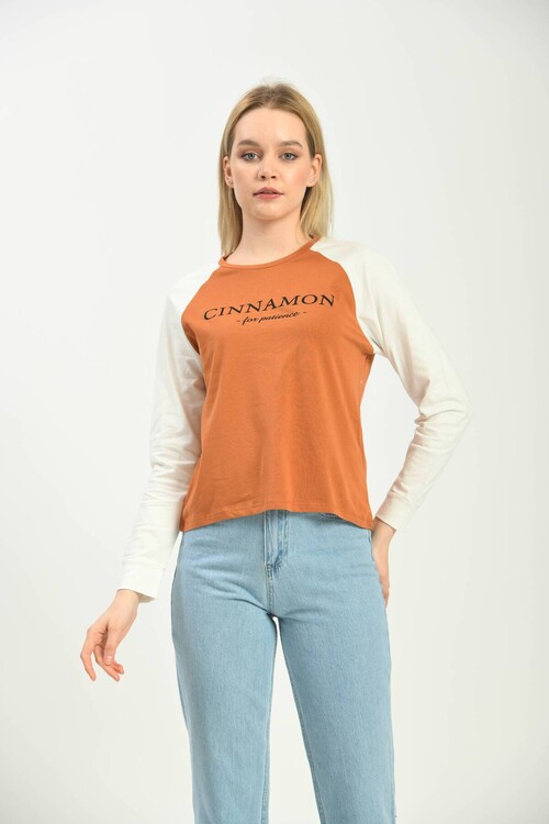 Cinnamon Color Block Basic Printed Long Sleeve Knitted T-Shirt