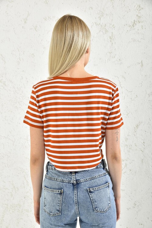 Orange Short Sleeve Flush Print Crop Blouse