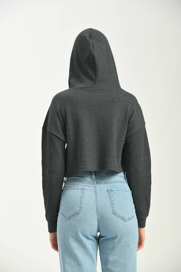 Antrasit Kapüşonlu Örme Crop Bluz