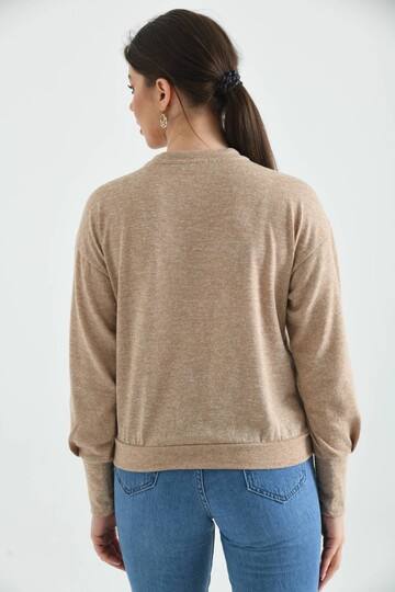 Beige Crew Neck Fluffy Knitted Blouse