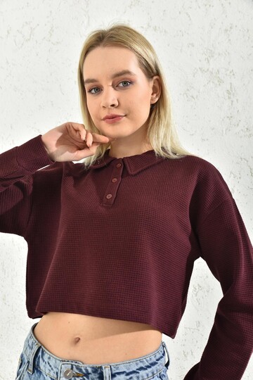 Bordo Polo Yaka Crop Bluz