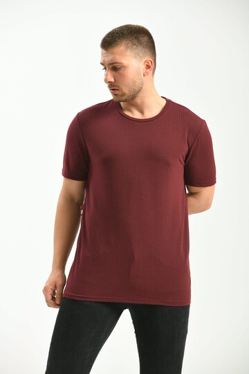 Claret Red Regular Fit Crew Neck Short Sleeved T-Shirt