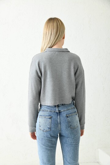 Dark Gray Polo Neck Crop Blouse