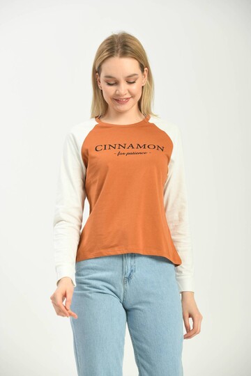 Cinnamon Color Block Basic Printed Long Sleeve Knitted T-Shirt