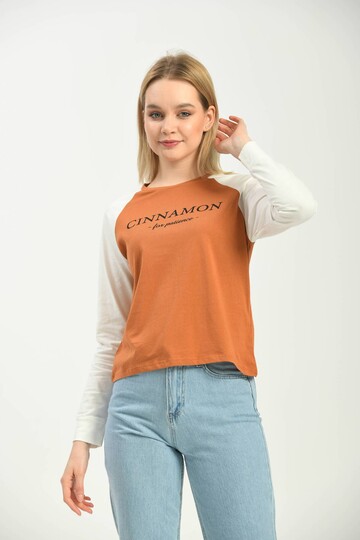 Cinnamon Color Block Basic Printed Long Sleeve Knitted T-Shirt