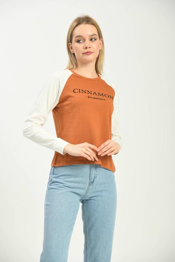 Cinnamon Color Block Basic Printed Long Sleeve Knitted T-Shirt